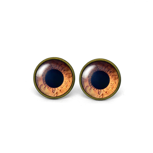 X543- Iris, Pupil, Eye, Eyeball, Glass Dome Post Earrings
